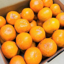 家庭用&nbsp;有田みかん&nbsp;10kg&nbsp;(約89個～95個)