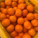 大粒有田みかん&nbsp;1kg&nbsp;(約7個～8個)