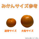 大粒有田みかん&nbsp;10kg&nbsp;(約70個～76個)