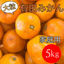 家庭用&nbsp;大粒有田みかん&nbsp;5kg&nbsp;(約35個～40個)