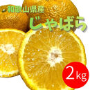 じゃばら&nbsp;2kg&nbsp;(11～18玉)