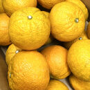 じゃばら&nbsp;3kg&nbsp;(17～26玉)