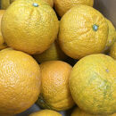 じゃばら&nbsp;10kg&nbsp;(56~88玉)