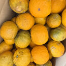 訳あり&nbsp;じゃばら&nbsp;1kg&nbsp;(6～9玉)