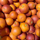 和歌山&nbsp;有田&nbsp;ブラッドオレンジ&nbsp;モロ&nbsp;5kg