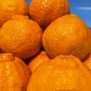 和歌山&nbsp;有田&nbsp;不知火&nbsp;しらぬい&nbsp;5kg