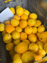 訳あり&nbsp;国産&nbsp;レモン&nbsp;2.5kg&nbsp;(14~22玉)
