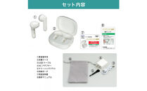 集音器　イヤリスチャージ　イヤホン型両耳　AS-E003