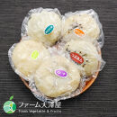 長野市産&nbsp;おやき&nbsp;10個【峰福堂本舗】