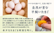 平飼い烏骨鶏のたまご12個&nbsp;|&nbsp;湯河原町&nbsp;ミックスファーム&nbsp;烏骨鶏&nbsp;こだわり飼育&nbsp;朝食