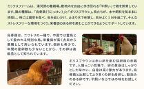 平飼い赤たまご16個&nbsp;|&nbsp;湯河原町&nbsp;ミックスファーム&nbsp;赤たまご&nbsp;こだわり飼育&nbsp;朝食