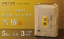 【定期便&nbsp;3ヶ月】【令和7年産】魚沼産コシヒカリ&nbsp;雪椿&nbsp;5kg(5kg×1袋)&nbsp;×&nbsp;3回&nbsp;特別栽培米