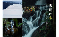 【定期便&nbsp;3ヶ月】【令和7年産】魚沼産コシヒカリ&nbsp;雪椿&nbsp;5kg(5kg×1袋)&nbsp;×&nbsp;3回&nbsp;特別栽培米