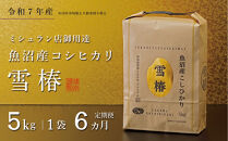 【定期便&nbsp;6ヶ月】【令和7年産】魚沼産コシヒカリ&nbsp;雪椿&nbsp;5kg(5kg×1袋)&nbsp;×&nbsp;6回&nbsp;特別栽培米
