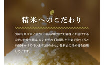 【定期便&nbsp;12ヶ月】【令和7年産】魚沼産コシヒカリ&nbsp;雪椿&nbsp;5kg(5kg×1袋)&nbsp;×&nbsp;12回&nbsp;特別栽培米