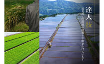 【定期便&nbsp;3ヶ月】【令和7年産】魚沼産コシヒカリ&nbsp;雪椿&nbsp;10kg(5kg×2袋)&nbsp;×&nbsp;3回&nbsp;特別栽培米