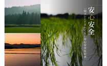 【定期便&nbsp;6ヶ月】【令和7年産】魚沼産コシヒカリ&nbsp;雪椿&nbsp;10kg(5kg×2袋)&nbsp;×&nbsp;6回&nbsp;特別栽培米