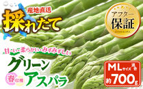 春収穫グリーンアスパラ&nbsp;M-L混合700g(2026年6月上旬から順次発送開始予定)_05687