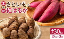 ＜定期便・全3回＞＜先行予約受付中！2026年10月上旬～2027年2月下旬発送予定＞さといもと紅はるかのセット(約10kg×3回・計約30kg)&nbsp;【鳥取県&nbsp;境港市】
