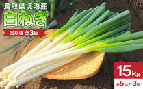 ＜定期便・全3回＞＜先行予約受付中！2026年11月上旬～2027年3月下旬発送予定＞白ねぎ(約5kg×3回・計15kg)