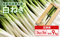 ＜11月上旬～4月下旬発送予定＞白ねぎ(3kg/定期便3回・計9kg)