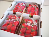 紀州和歌山ブランドいちご「紀の香」約250g×4P&nbsp;［UT143］