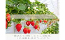紀州和歌山ブランドいちご「紀の香」約250g×4P&nbsp;［UT143］