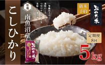 【令和8年産新米予約】【定期便8ヶ月】南魚沼産こしひかり　みやた米5kg【2026年10月上旬より1ヶ月以内に順次発送予定】