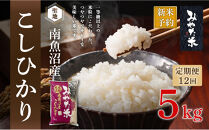 【令和8年産新米予約】【定期便12ヶ月】南魚沼産こしひかり　みやた米5kg【2026年10月上旬より1ヶ月以内に順次発送予定】