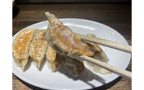 野菜餃子&nbsp;45個【配送不可：沖縄県・離島】