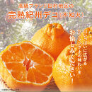 高級ブランド田村の完熟紀州デコ（不知火）約8kg