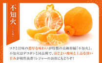 不知火(しらぬい)&nbsp;オレンジ&nbsp;みかん&nbsp;訳あり&nbsp;2kg&nbsp;サイズ混合