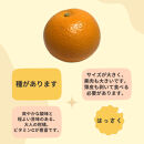 和歌山&nbsp;有田&nbsp;はっさく&nbsp;5kg