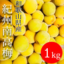 黄色～完熟梅&nbsp;南高梅&nbsp;1kg