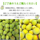 黄色～完熟梅&nbsp;南高梅&nbsp;3kg