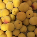 黄色～完熟梅&nbsp;南高梅&nbsp;3kg