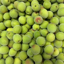 青梅&nbsp;南高梅&nbsp;5kg