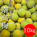 青梅&nbsp;南高梅&nbsp;10kg