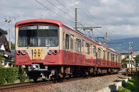 「ご当地つり革へメッセージを込めて」伊豆箱根鉄道大雄山線（小田原駅～大雄山駅）オリジナルつり革（小田原ちょうちん）14日間メッセージ掲出プラン