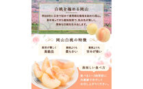 【定期便全3回】もも&nbsp;ぶどう&nbsp;晴れの国岡山フルーツ定期便（７月・８月・９月お届け）岡田青果