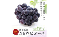 【定期便全3回】もも&nbsp;ぶどう&nbsp;晴れの国岡山フルーツ定期便（７月・８月・９月お届け）岡田青果