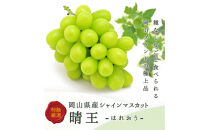 【定期便全3回】もも&nbsp;ぶどう&nbsp;晴れの国岡山フルーツ定期便（７月・８月・９月お届け）岡田青果