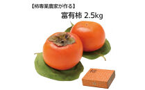 【柿専業の農家が作る】出雲産富有柿　2.5kg【11月下旬以降お届け】