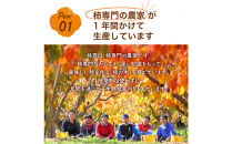 【柿専業の農家が作る】出雲産富有柿　5kg【11月下旬以降お届け】