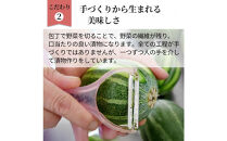 島根・出雲の味&nbsp;漬物7種＆宍道湖しじみセット