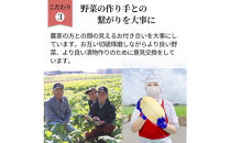 島根・出雲の味&nbsp;漬物7種＆宍道湖しじみセット
