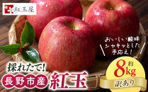 紅玉屋　紅玉訳アリ8kg&nbsp;りんご&nbsp;長野市産&nbsp;フルーツ【2026年9月下旬以降の出荷】&nbsp;|&nbsp;&nbsp;りんご&nbsp;フルーツ&nbsp;果物&nbsp;訳あり&nbsp;人気&nbsp;おすすめ&nbsp;ギフト&nbsp;プレゼント&nbsp;送料無料&nbsp;長野県&nbsp;長野市&nbsp;信州&nbsp;信濃&nbsp;ふるさと納税