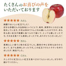 紅玉訳アリ12kg&nbsp;りんご&nbsp;長野市産&nbsp;フルーツ【2026年9月下旬以降の出荷】