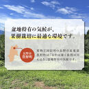紅玉訳アリ12kg&nbsp;りんご&nbsp;長野市産&nbsp;フルーツ【2026年9月下旬以降の出荷】