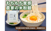 グルテンフリー&nbsp;無添加&nbsp;米麺&nbsp;120g&nbsp;&nbsp;10個セット（白米麺10個）｜米粉&nbsp;うどん&nbsp;焼きそば&nbsp;パスタ&nbsp;麺&nbsp;